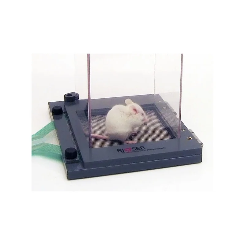 Bioseb's Advanced Dynamic Weight Bearing - Detail with a mouse