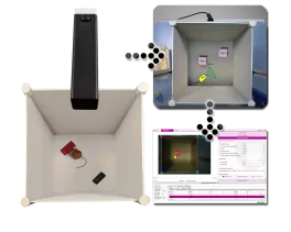 Test de reconnaissance d'objet en 3D