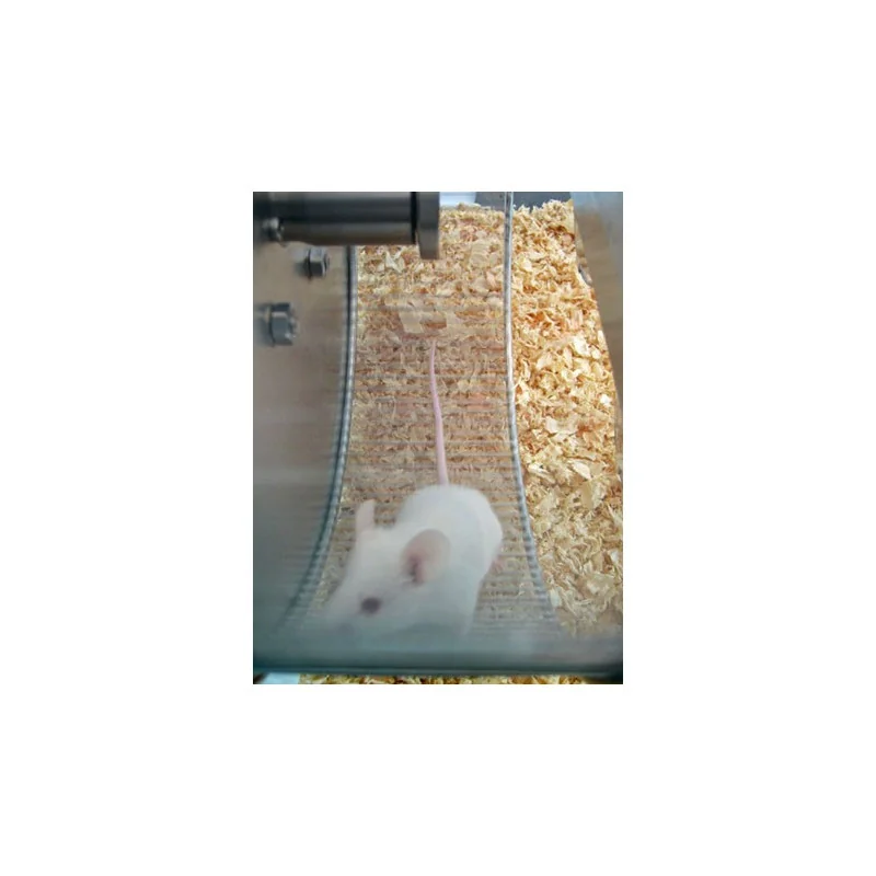 Bioseb's Activity Wheel: Rat in the wheel