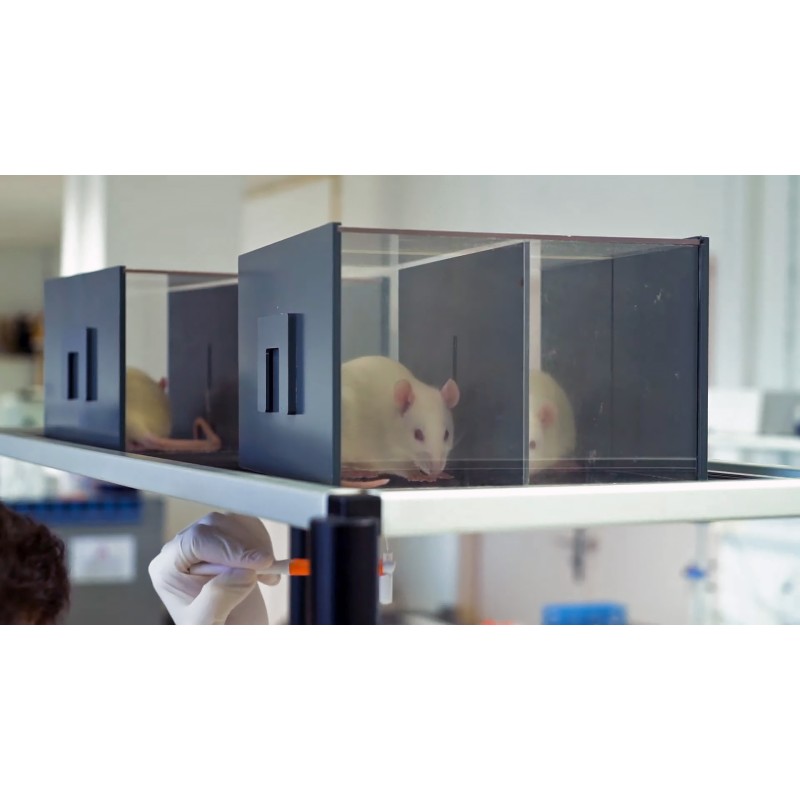 Cages de contention modulables pour rats et souris