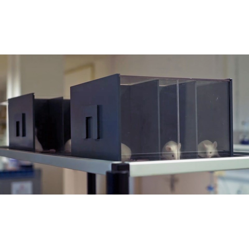 Cages de contention modulables pour rats et souris